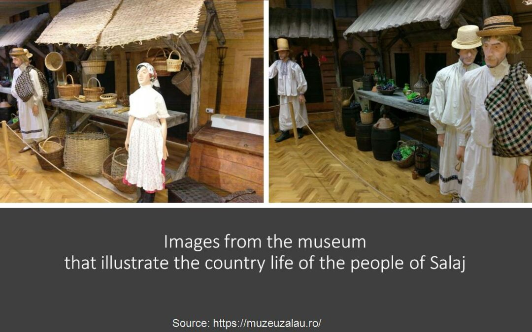 Virtual visit to the Sălaj County Museum of History in Zalău