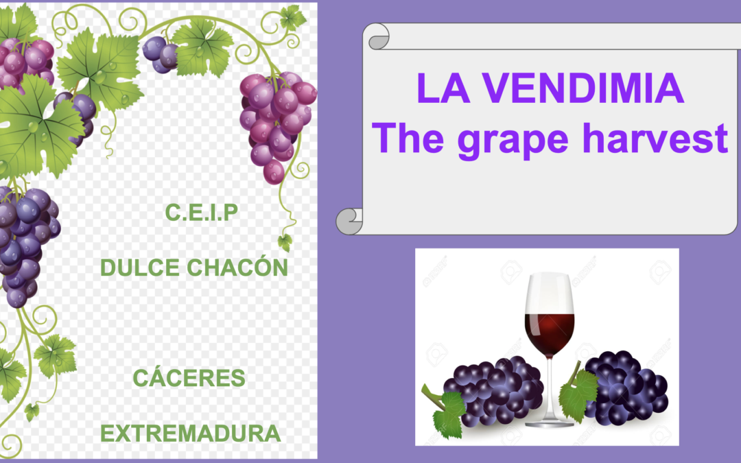 LITTLE KIDS LEARNING TRADITION AND CULTURE: “GRAPE HARVEST”